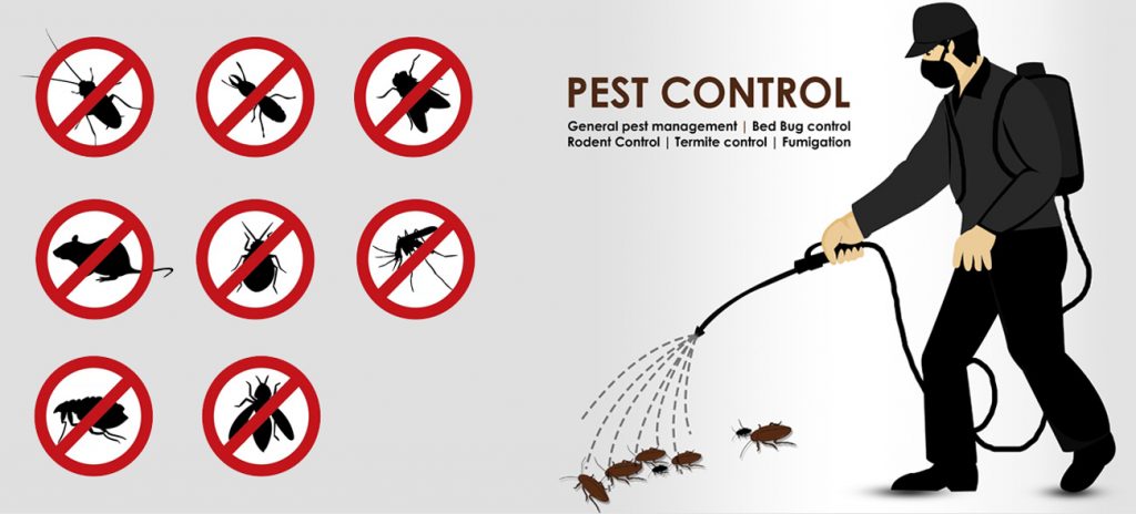 The value of Pest Control- Restaurant Industry 0321-8950252